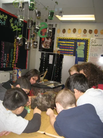 Students examining some red worms up close.